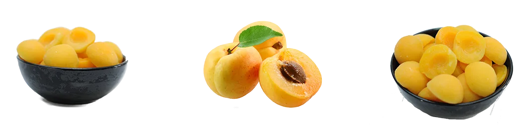 Green Valley for Import & Export - Agriculture products | Egypt