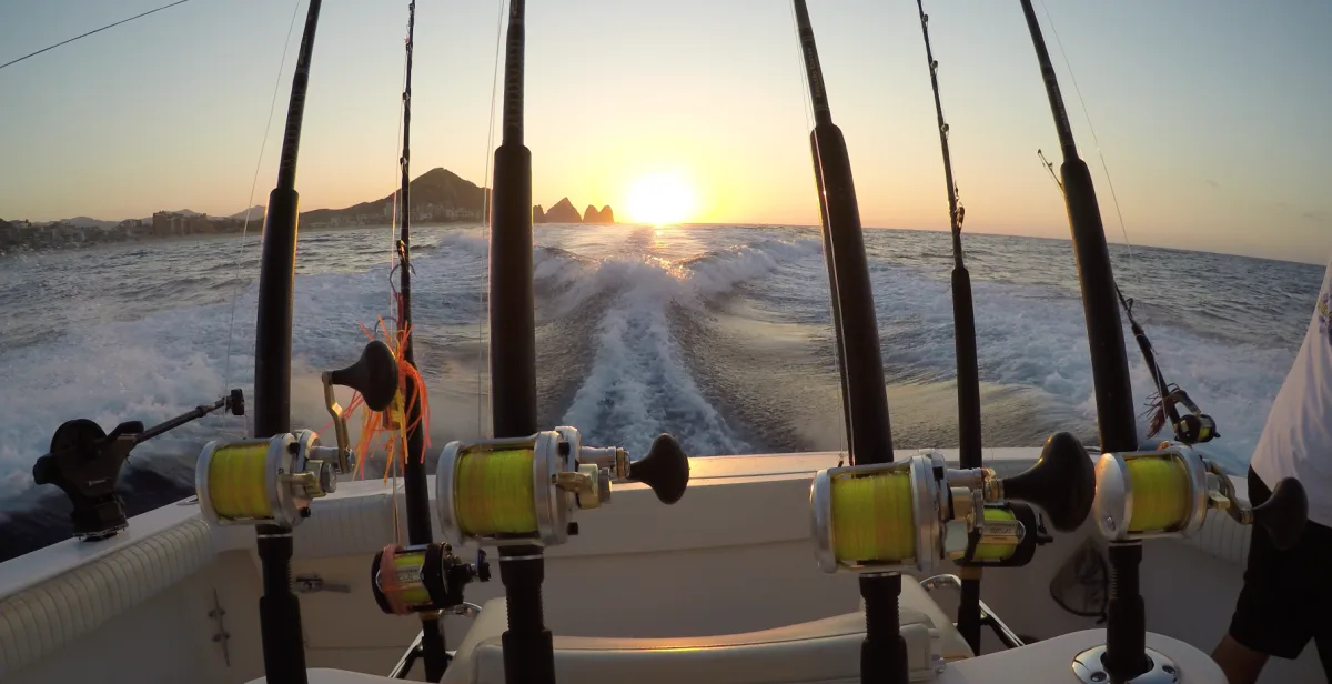 Tag Cabo Sportfishing