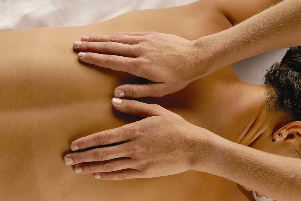 Wild Sage Massage Therapy Clinic