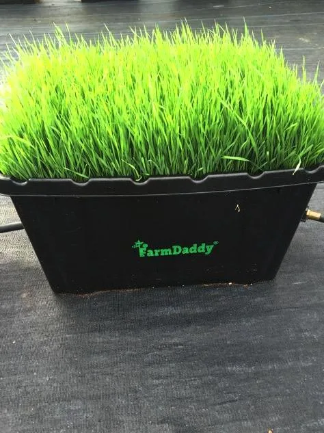 FarmDaddy Inc