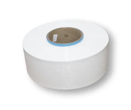 Hangzhou Yongchang Nylon Co., Ltd.