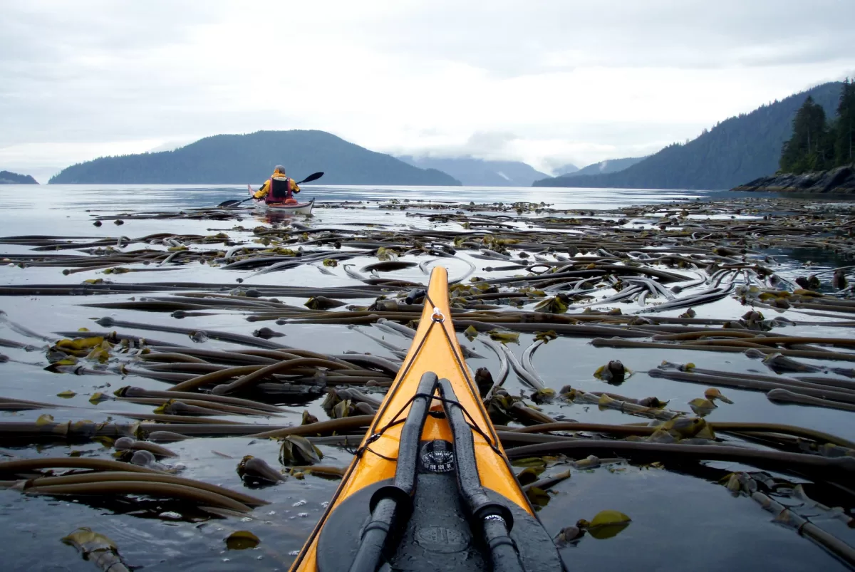 Valley Sea Kayaks - Sports & Leisure products | United Kingdom