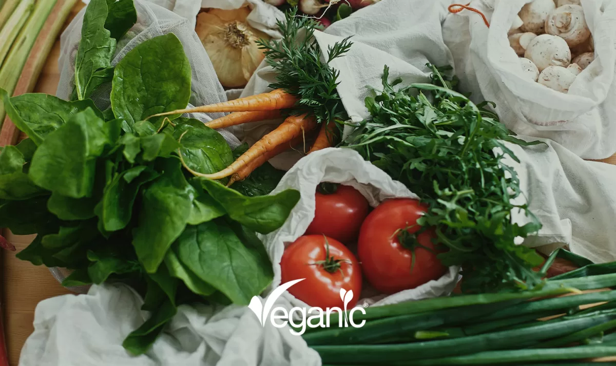 Veganic Nature, S.L.