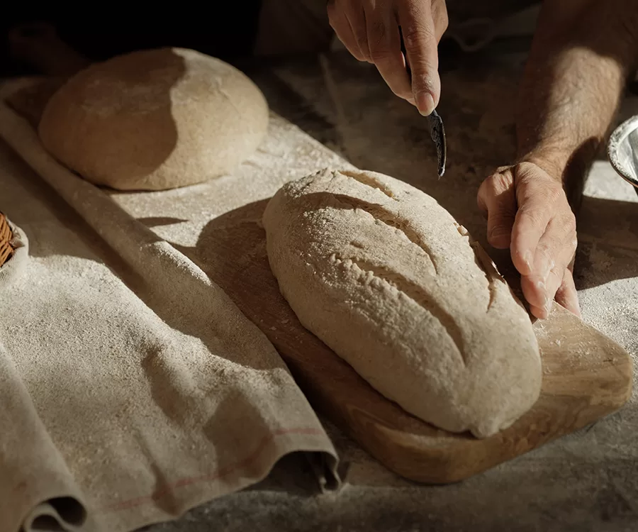 The Bread Factory Ltd - Foods & Beverages products | United Kingdom