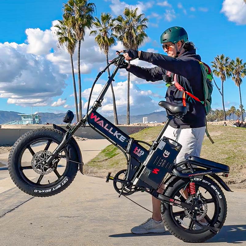 Wallke Ebike