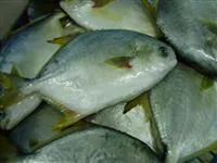 Haikou Guohong Seafood Company