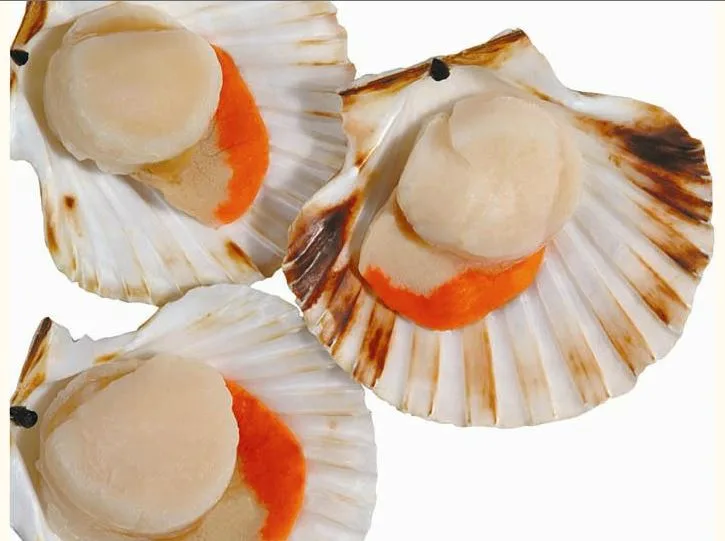 Victor Seafoods