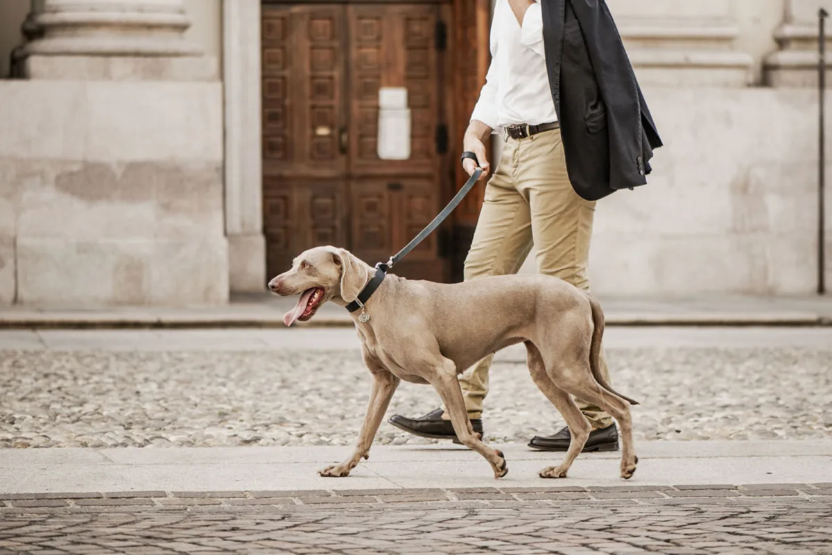 MyFamily S.r.l - Others & Miscellaneous products | Italy