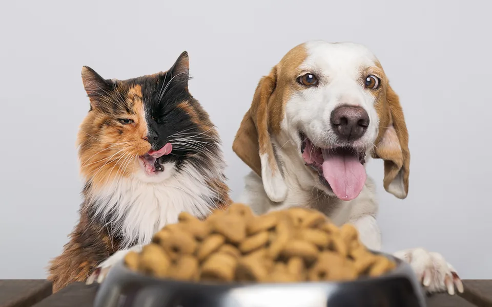 petMaxi, S.A.
Pet Food