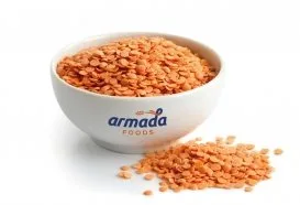 Armada Foods
