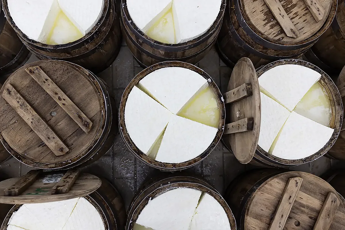 Milkplan S.A. - Agriculture products | Greece