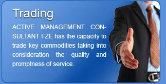 ACTIVE Management Consultant FZE