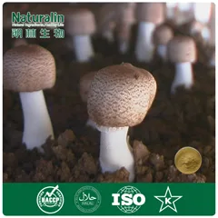Naturalin Bio-Resources Co., Ltd