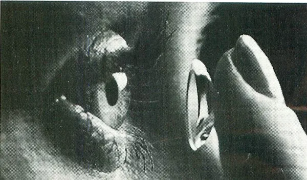 Master Eye Associates