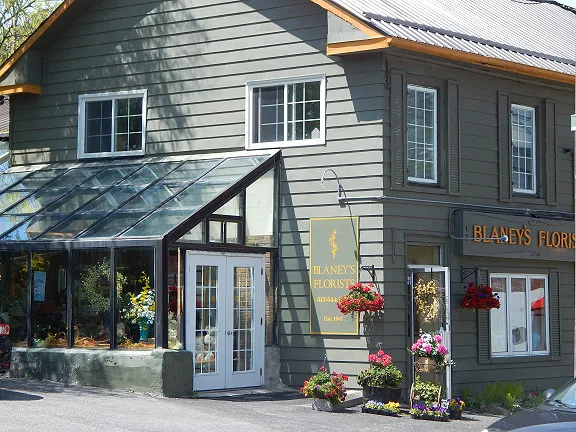 Blaney's Florists Ltd