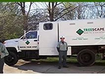 Treescape Charlotte