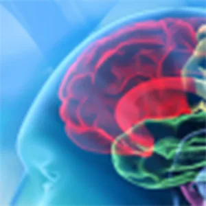 Palm Beach Neurological