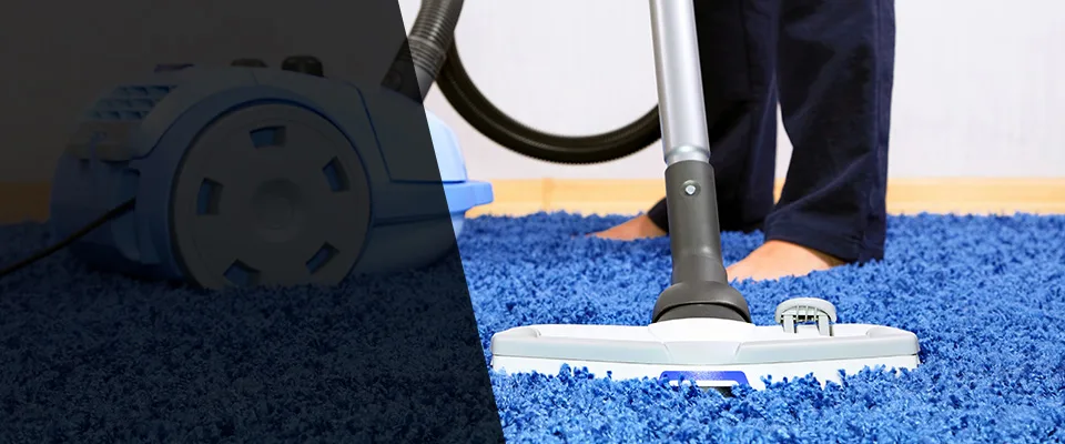 Tampa Carpet Cleaning Pros