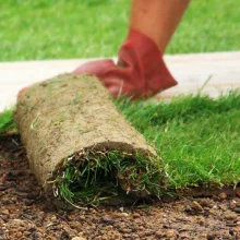 Greenbloom Landscape Design Inc.