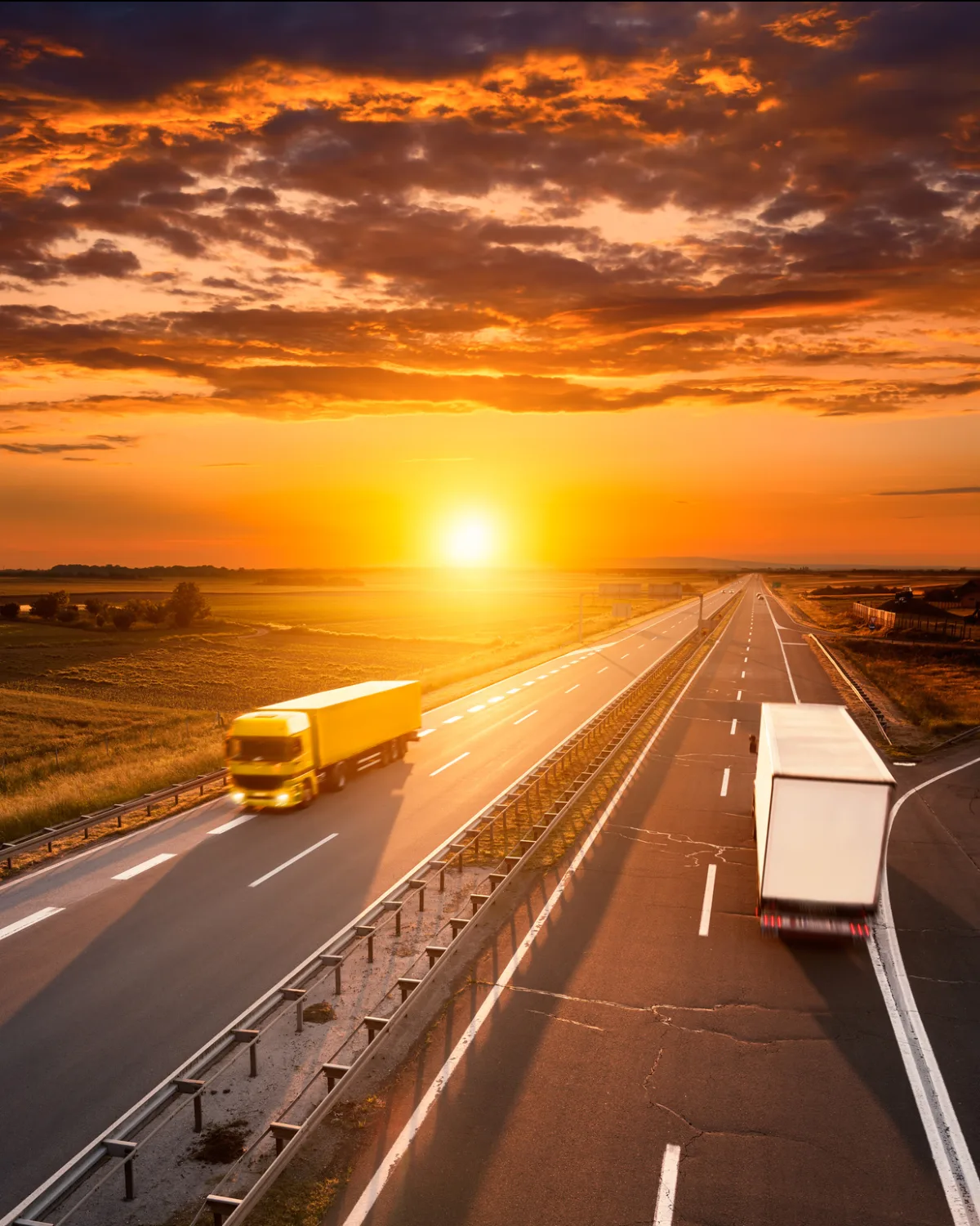 Hercules Movers & Packers