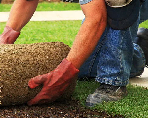 Ottawa Creative Landscaping