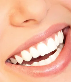 The Smile Emporium