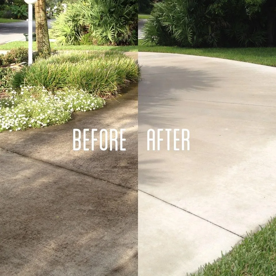 Tampa Pressure Washing