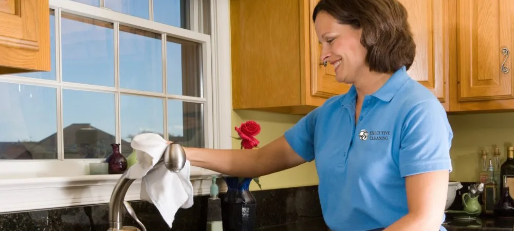 Executive Cleaning Services