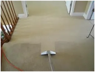 Dave's Carpet Cleaning of Buffalo Grove