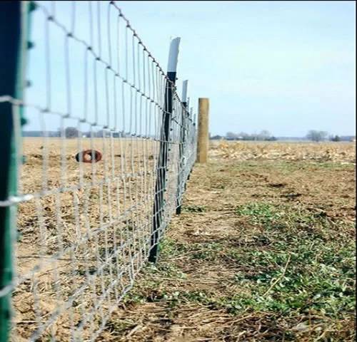 DongXin Field Fence Factory