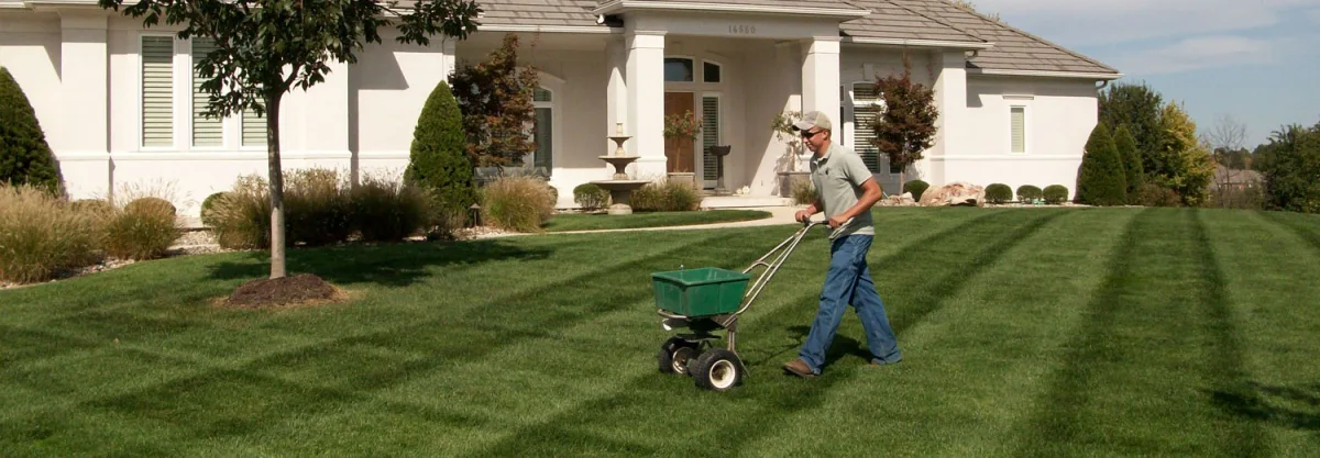 Landscaping Toronto