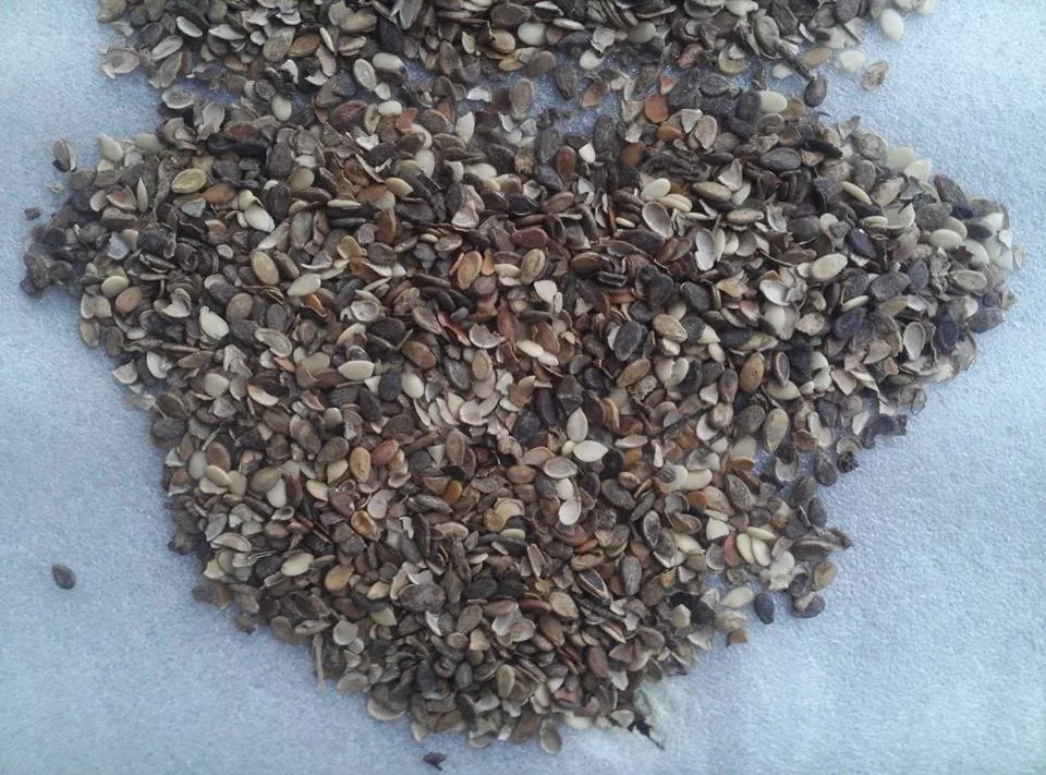 Al Karam Rice Engineering