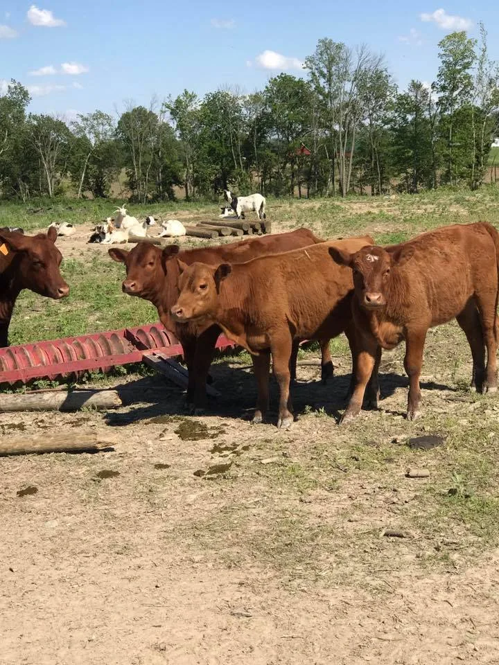 Hood Farms And Sawmill