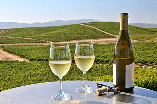 Wilsons Wine Tours Geelong