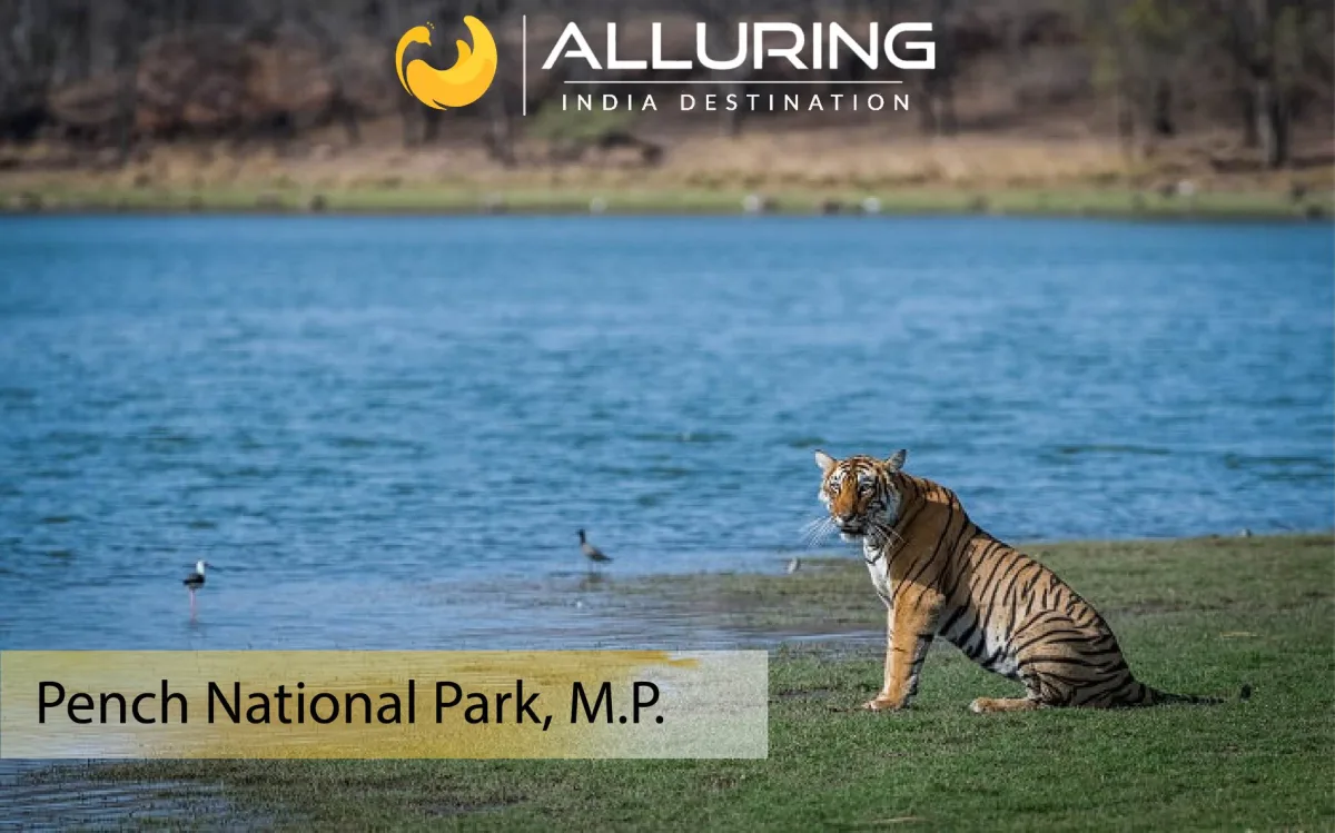 Alluring India Destination Pvt. Ltd.
