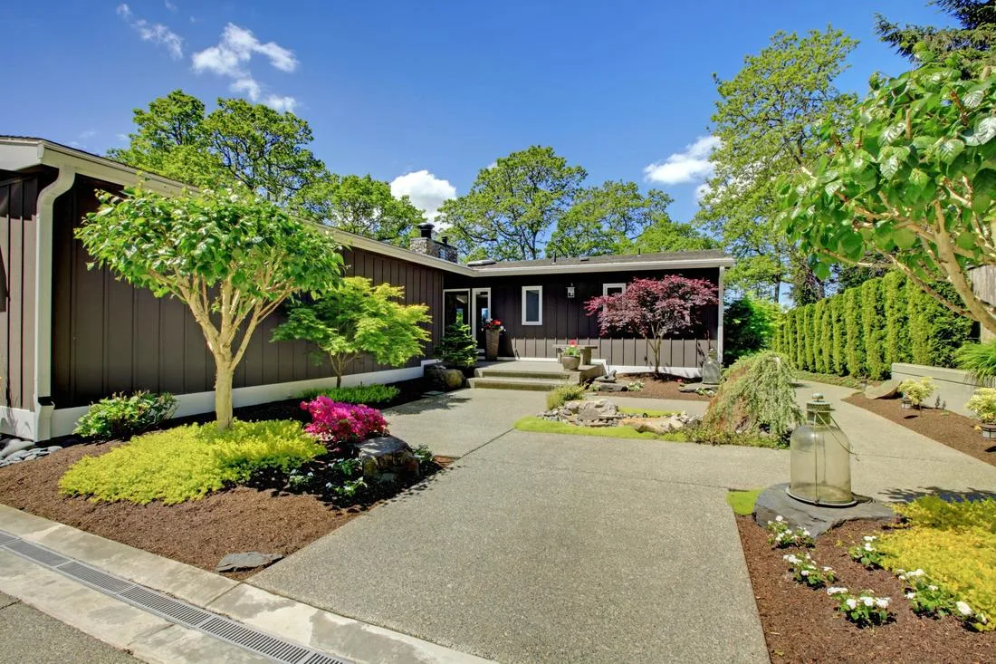 Burlington Tree Care