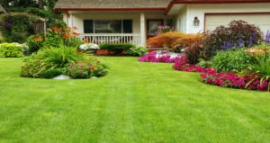 Landscaping Melbourne