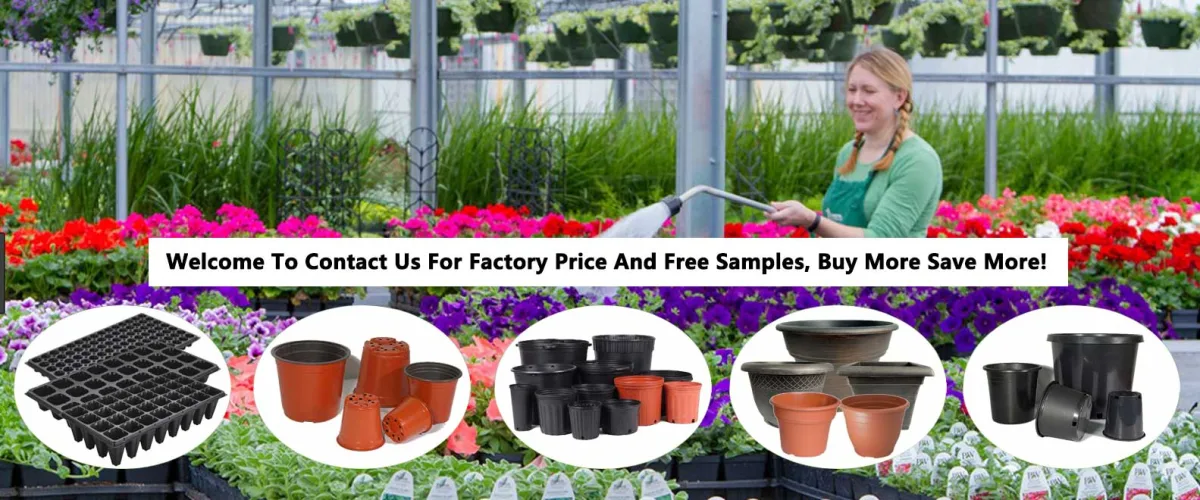 Wilson Garden Co., Ltd