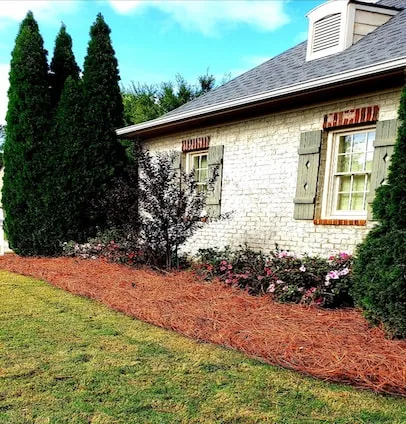 Ben's Lawn Care