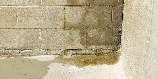 Meridian Foundation Repair & Waterproofing