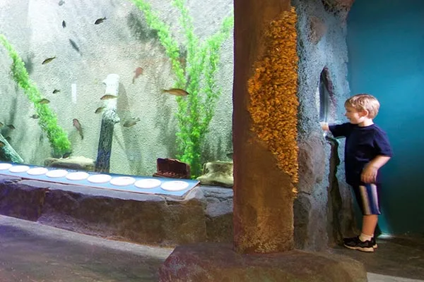Titan Aquatic Exhibits