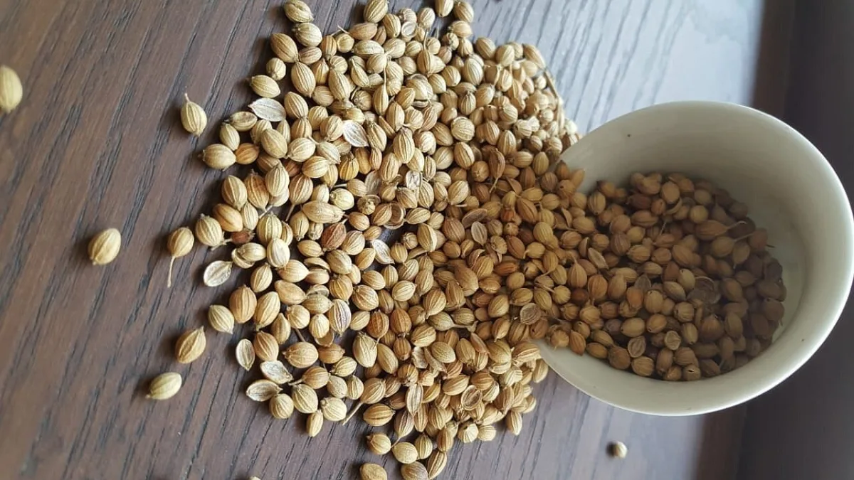 Zafran Food Industries