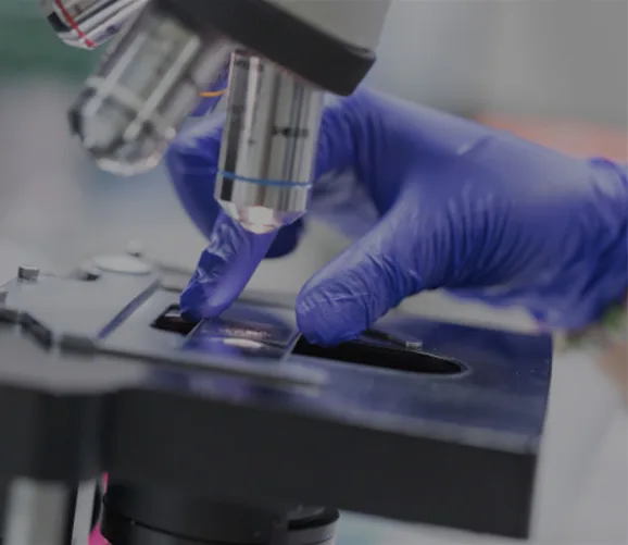 Rabkin Dermatopathology Lab