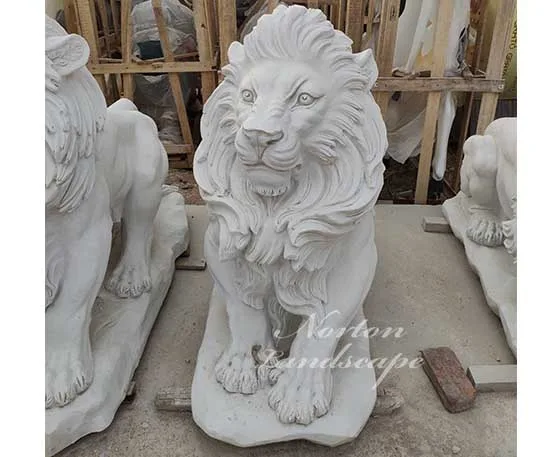 Shijiazhuang Norton Trade Co., Ltd