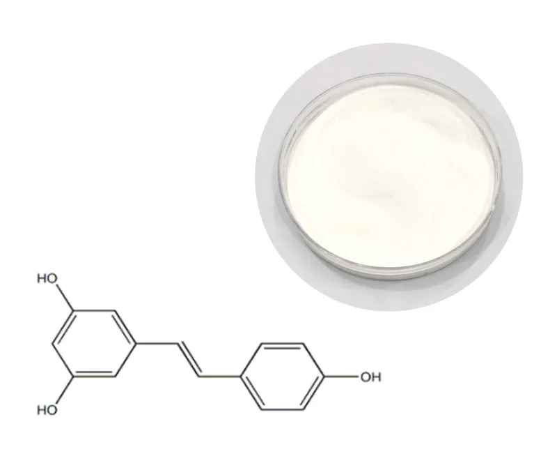 Chengdu Nudlehealth Biotechnology Limited