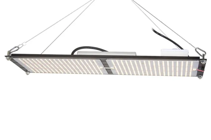 Shenzhen 3TreeLED Technology Co., Ltd.