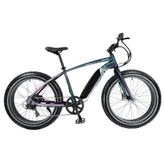Bicystar Group Co., Limited