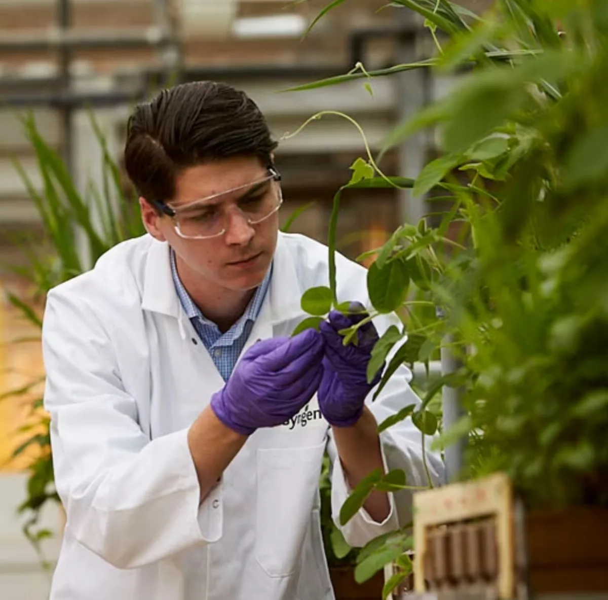 Syngenta International AG