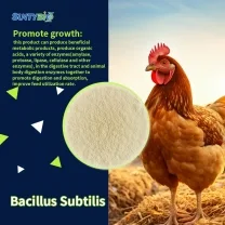 Hebei Shuntian Biotechnology Co., Ltd.