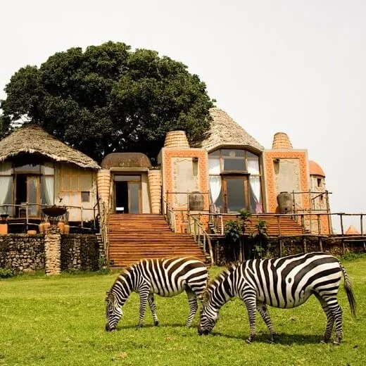 Asante Travel Group